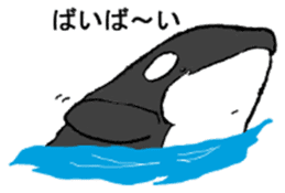Round orcas sticker #6507972