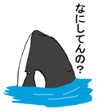 Round orcas sticker #6507973