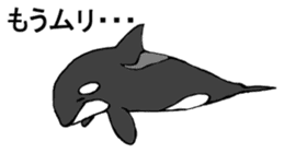 Round orcas sticker #6507978