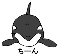 Round orcas sticker #6507980