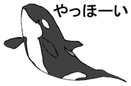 Round orcas sticker #6507982