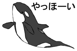 Round orcas sticker #6507982