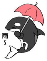 Round orcas sticker #6507983