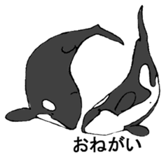 Round orcas sticker #6507987