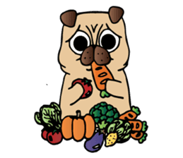 Dobby the Pug sticker #6508819