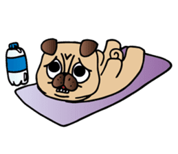 Dobby the Pug sticker #6508834