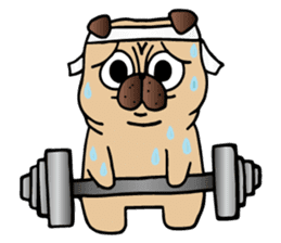 Dobby the Pug sticker #6508842