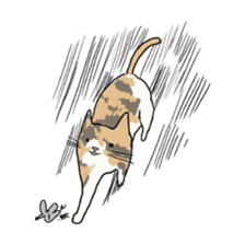 girl & tortoiseshell cat sticker #6508888