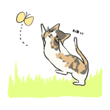 girl & tortoiseshell cat sticker #6508890