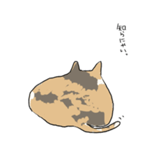girl & tortoiseshell cat sticker #6508892