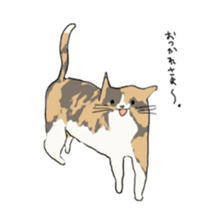 girl & tortoiseshell cat sticker #6508893