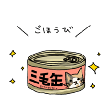 girl & tortoiseshell cat sticker #6508895