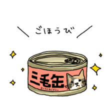 girl & tortoiseshell cat sticker #6508895