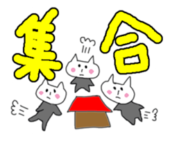 Positive cat's Every day sticker #6508993