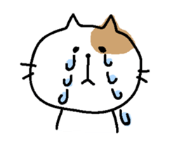 Sticker of a bicolor cat. sticker #6510682