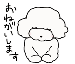 Three brothers of toy poodle sticker #6512177