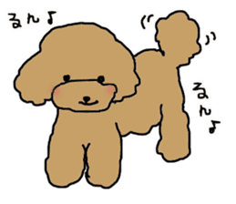 Three brothers of toy poodle sticker #6512178