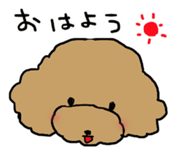 Three brothers of toy poodle sticker #6512181