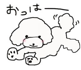 Three brothers of toy poodle sticker #6512182