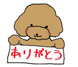 Three brothers of toy poodle sticker #6512183
