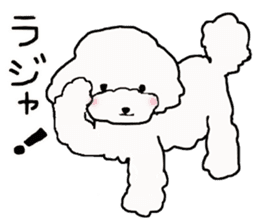 Three brothers of toy poodle sticker #6512189