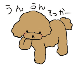 Three brothers of toy poodle sticker #6512192