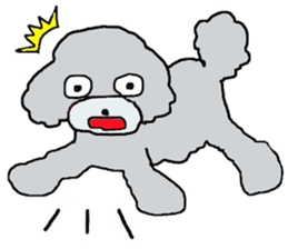 Three brothers of toy poodle sticker #6512197