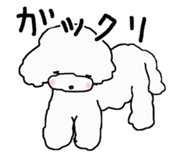 Three brothers of toy poodle sticker #6512199