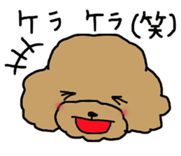 Three brothers of toy poodle sticker #6512201