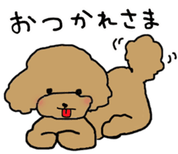Three brothers of toy poodle sticker #6512204