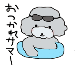 Three brothers of toy poodle sticker #6512205
