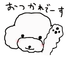 Three brothers of toy poodle sticker #6512206