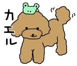 Three brothers of toy poodle sticker #6512207