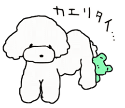 Three brothers of toy poodle sticker #6512208