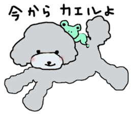 Three brothers of toy poodle sticker #6512209