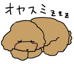Three brothers of toy poodle sticker #6512210
