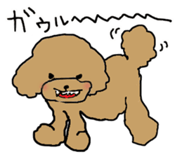 Three brothers of toy poodle sticker #6512213