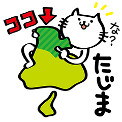 My cat tajimaben/Hyogo