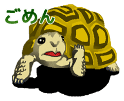 Animal field 1.2 sticker #6517840