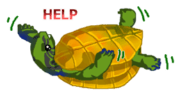 Animal field 1.2 sticker #6517841