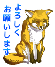 Animal field 1.2 sticker #6517850