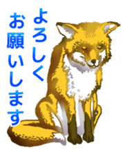 Animal field 1.2 sticker #6517850