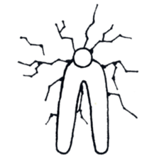 Silent rabbit 2 sticker #6517984