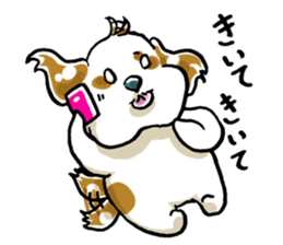 Freely Shih Tzu sticker #6520208