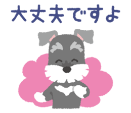 Tuna of Schnauzer 3 An honorific sticker #6521077