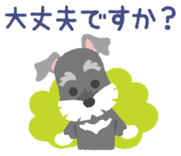 Tuna of Schnauzer 3 An honorific sticker #6521078