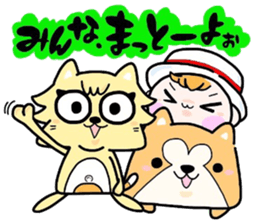 (B.B.B) as13 It is Kitakyusyu at will! 4 sticker #6523217