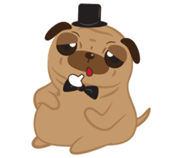 Mr. Pug Dog sticker #6523817