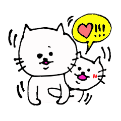 The interesting and cute cat 2