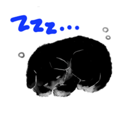 Black puppy "Mill" sticker #6526152